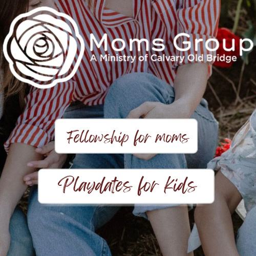 Mom’s Group Fellowship and Play Dates 